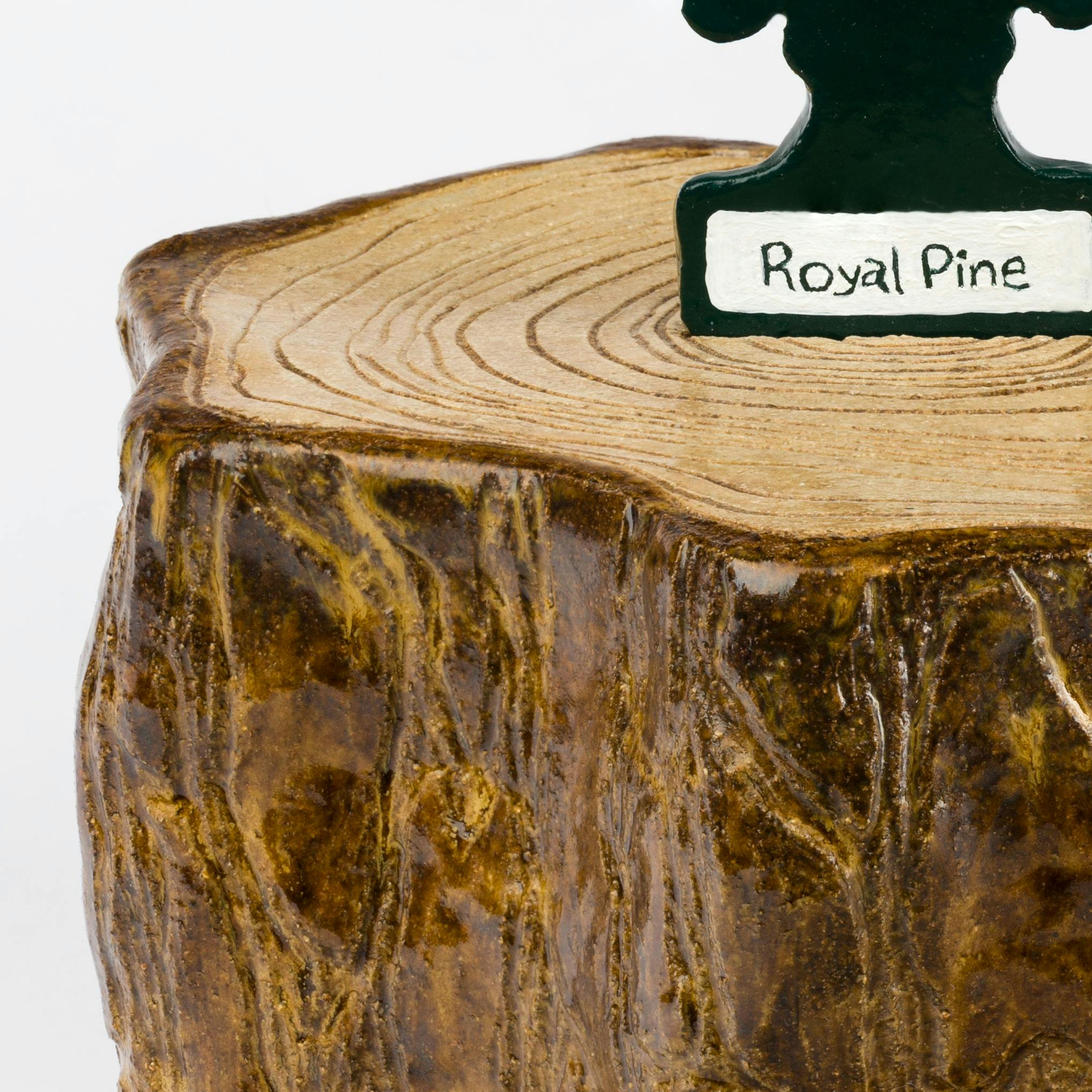 Royal Pine