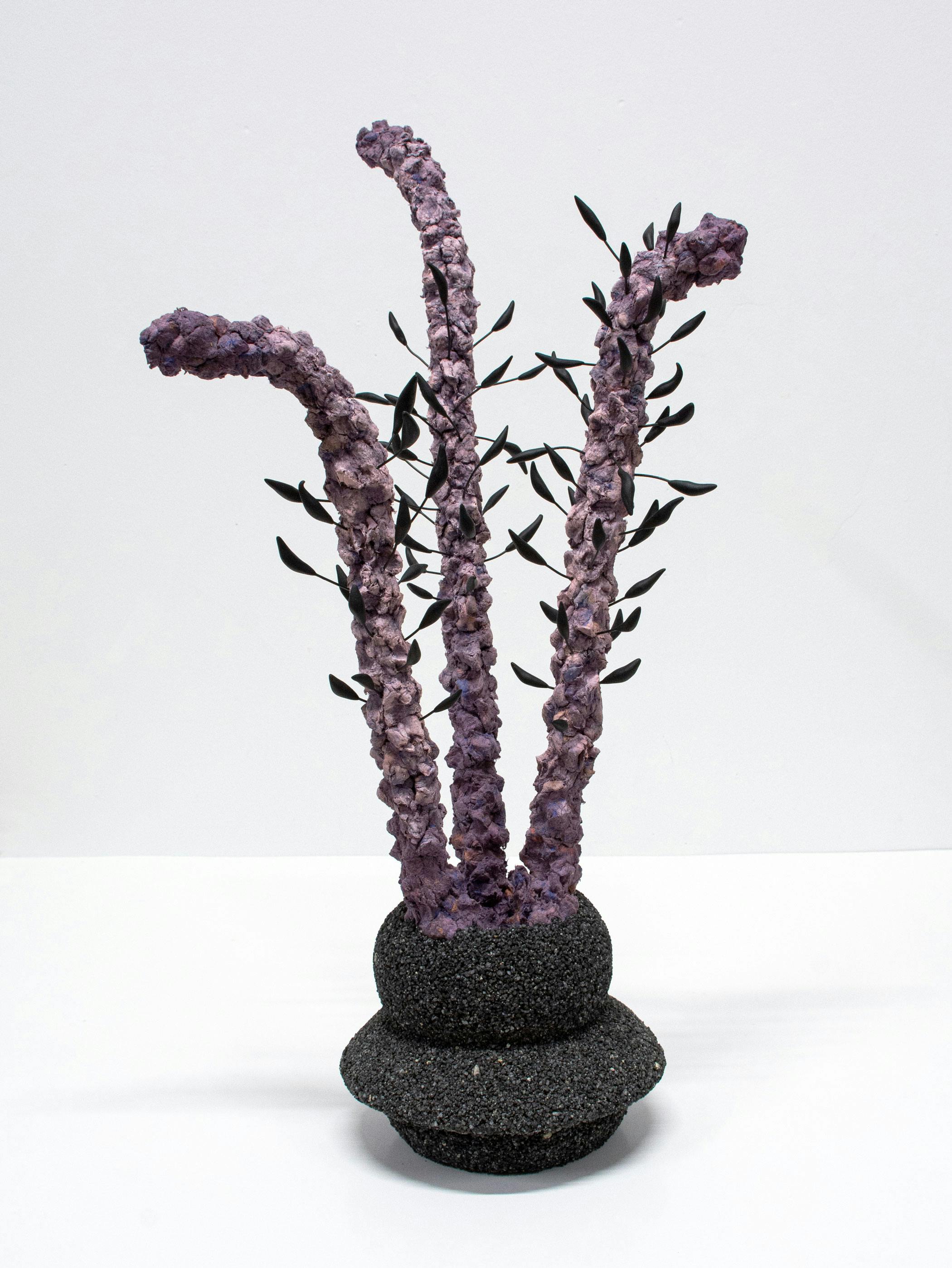 Purple Plant #1